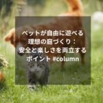 ペットが自由に遊べる理想の庭づくり：安全と楽しさを両立するポイント #column