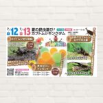 【2025年7月12日(土)・13日(日)】夏の昆虫遊び！カブトムシキングダム
