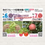 【2025年9月6日(土)・7日(日)】秋のフルーツ収穫体験！