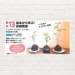 【2025年10月13日(祝)】基本から学ぶ！盆栽教室