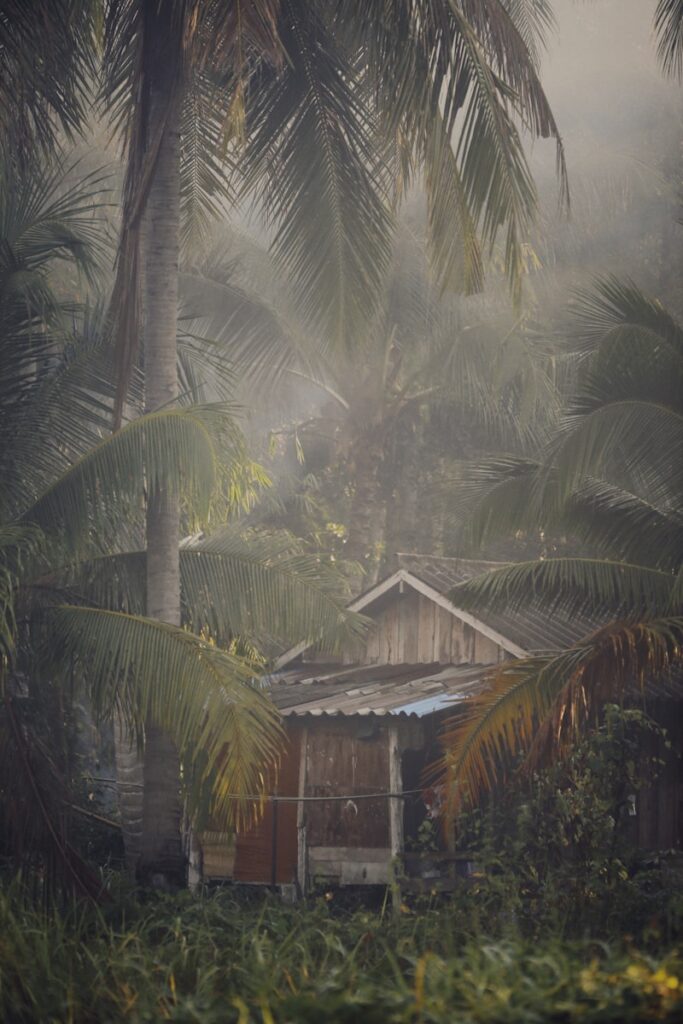 a hut in the jungle surrounded by palm trees