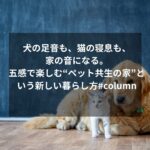 犬の足音も、猫の寝息も、家の音になる。五感で楽しむ“ペット共生の家”という新しい暮らし方#column