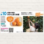 【2026年1月10日(土)】収穫の季節j！みかん狩り体験
