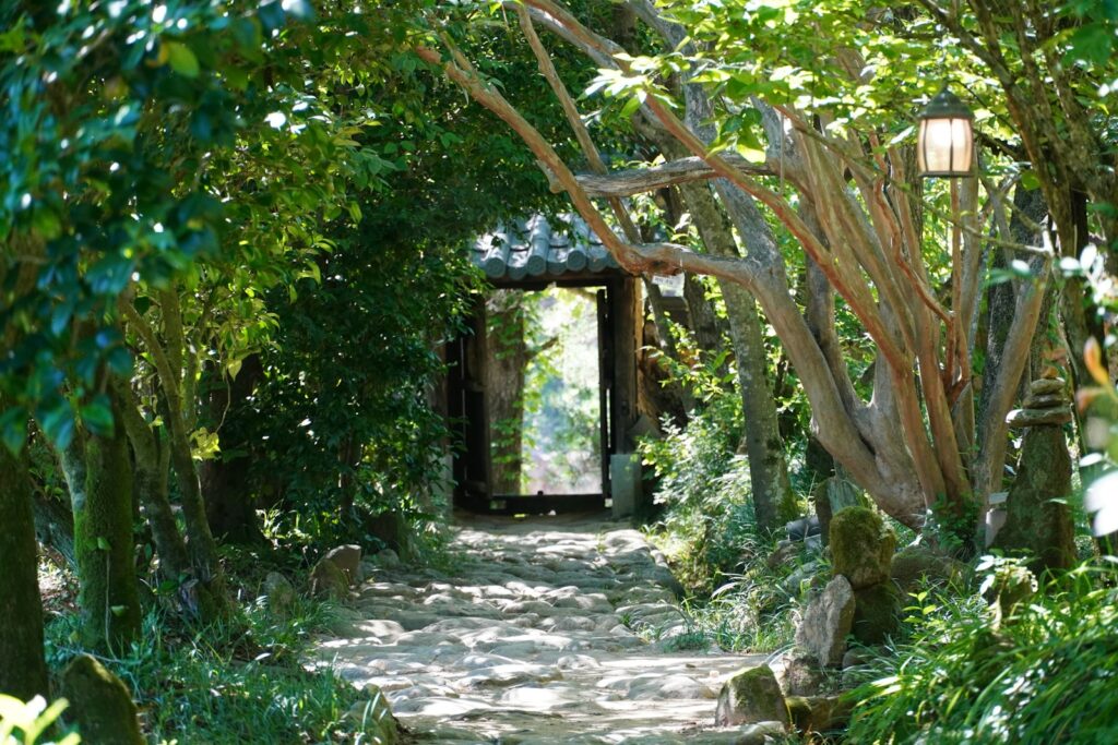 Stone path through a lush green forest entranceway with lantern.