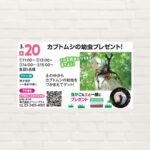 【2026年3月20日(祝)】カブトムシの幼虫プレゼント！
