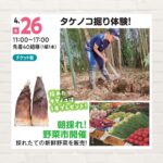 【2026年4月26日(日)】タケノコ掘り体験！／朝採れ！野菜市開催