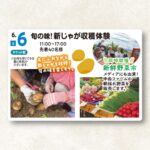 【2026年6月6日(土)】旬の味！新じゃが収穫体験